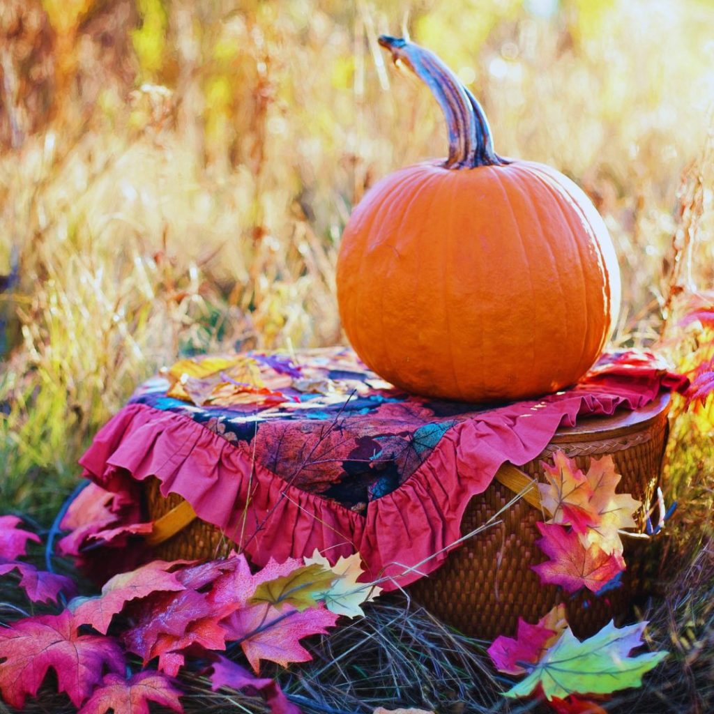 picnic pumpkin decor